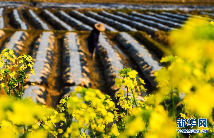 #（经济）（1）春季生产热火朝天