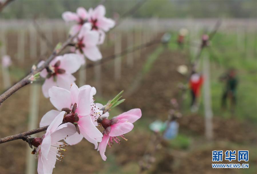 #（经济）（3）春季生产热火朝天