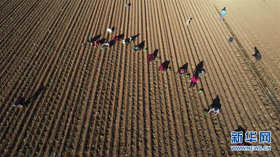 #（经济）（6）春季生产热火朝天