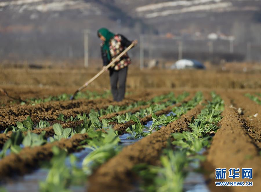#（经济）（8）春季生产热火朝天