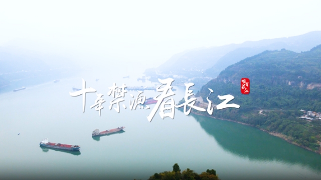 碧水之上新“渔”者