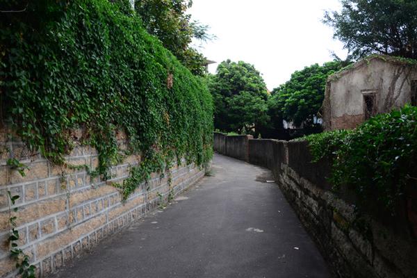 1443409563703399.jpg 图片86.jpg