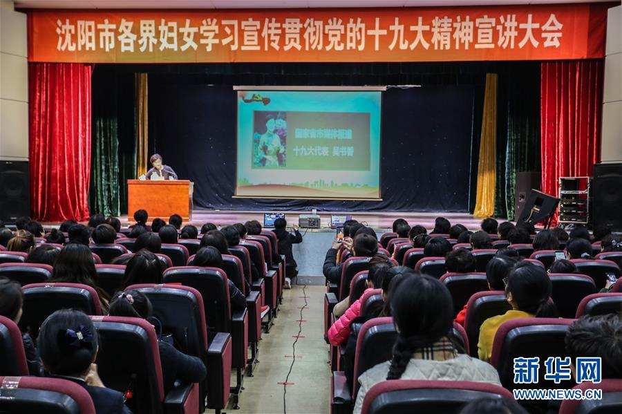 (十九大代表回基层·图文互动)(2)吴书香:和乡亲们一起干出美好乡村